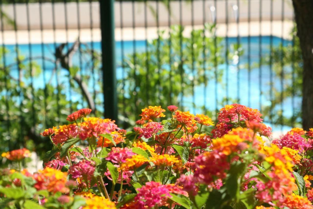 Studio Le Fabrina Riviera Ницца Экстерьер фото